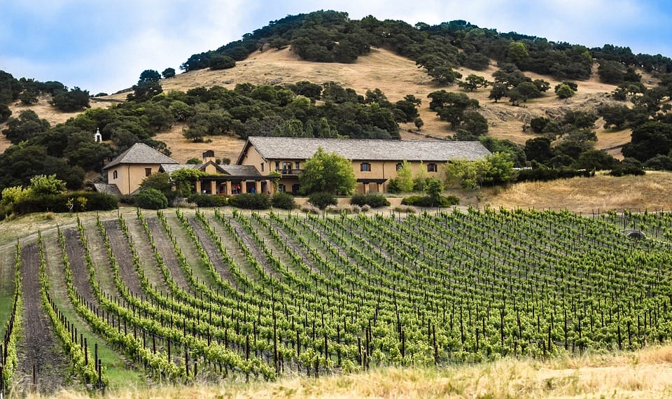 vineyard tour california